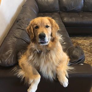 Meet your Posher, Mark